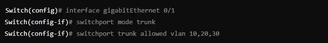 trunk vlan