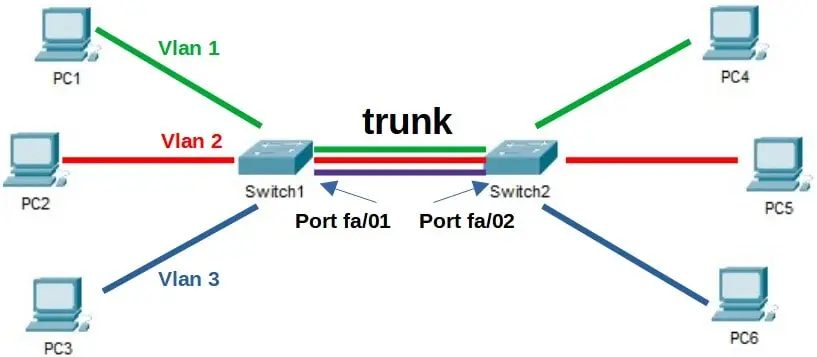 trunk vlan  switch