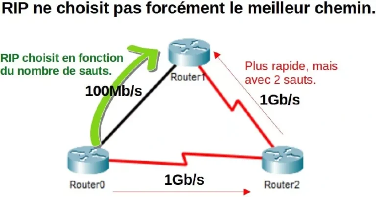 protocole rip sauts meilleur chemin