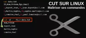 cut sur linux commande