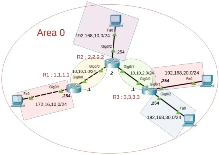 schéma ospf protocole
