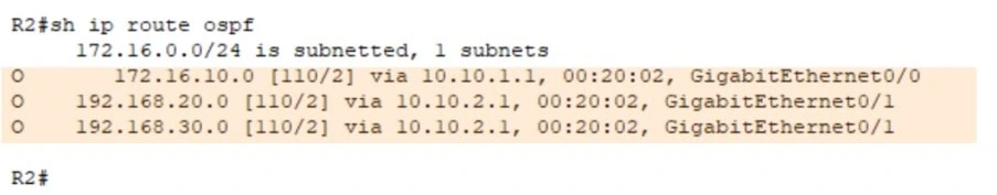 show ip route ospf